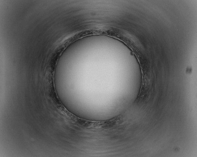 X0000100850773200807070932