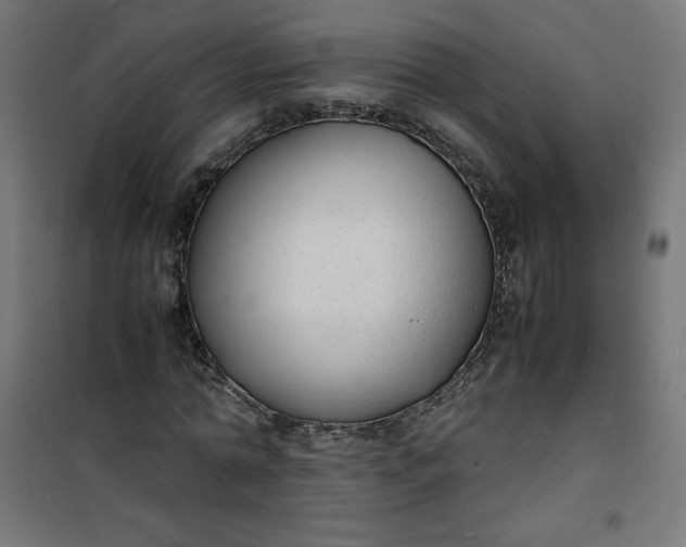 X0000100850774200807070932