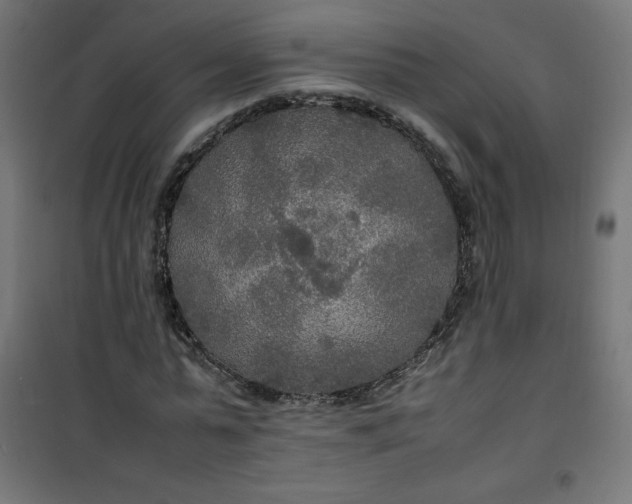 X0000100850775200807070932