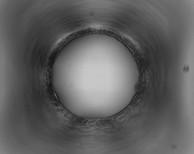 X0000100850776200807070932