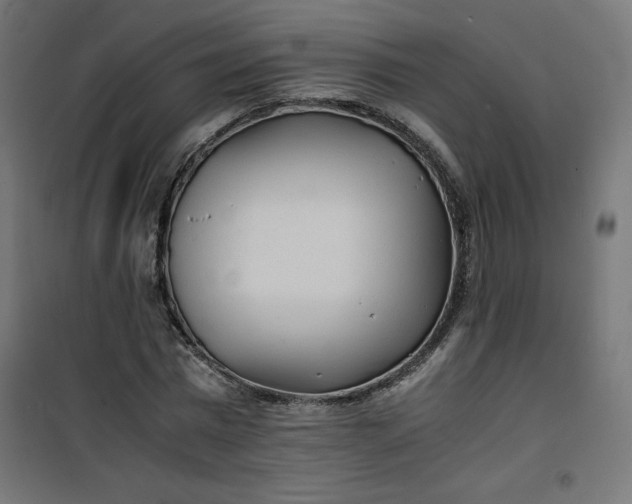 X0000100850777200807070932