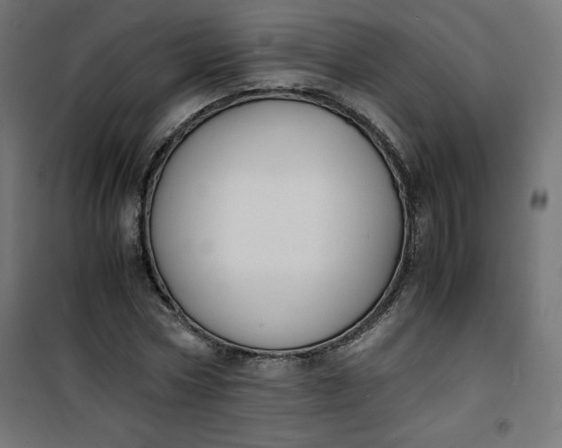 X0000100850778200807070932