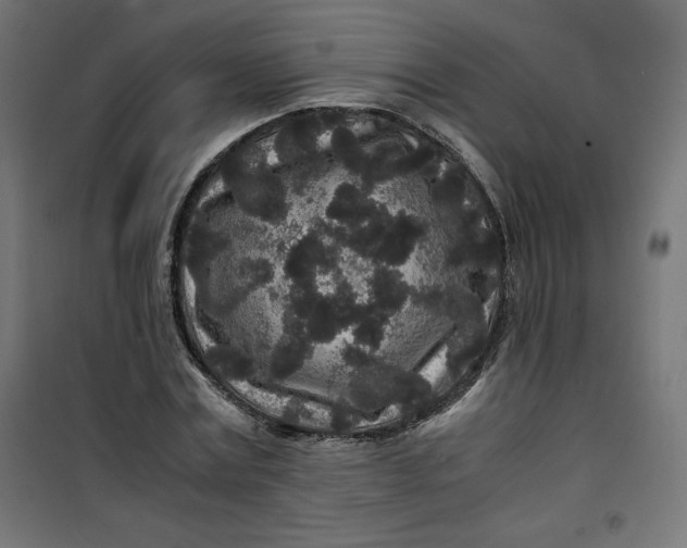 X0000100850779200807070932