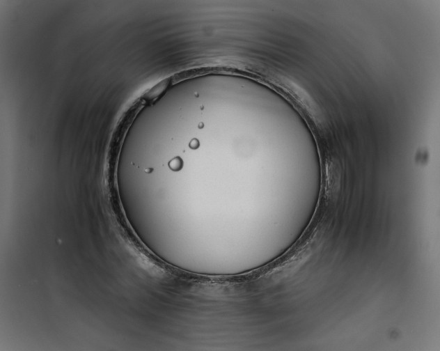 X0000100850780200807070932