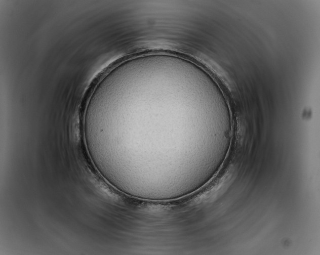 X0000100850782200807070932