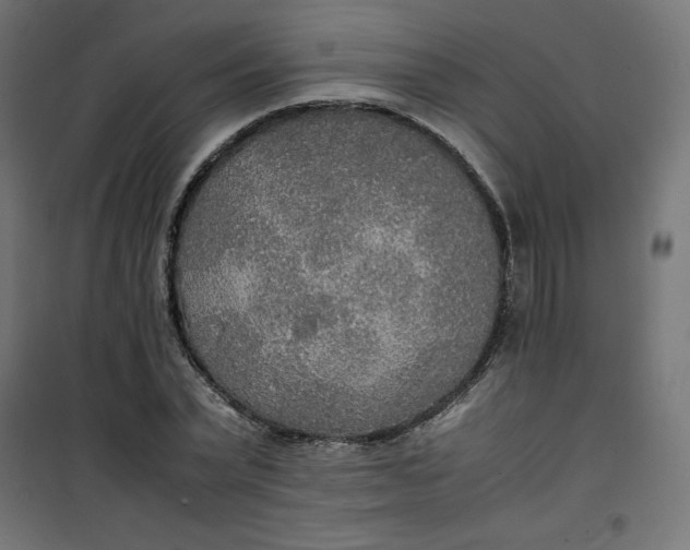 X0000100850783200807070932