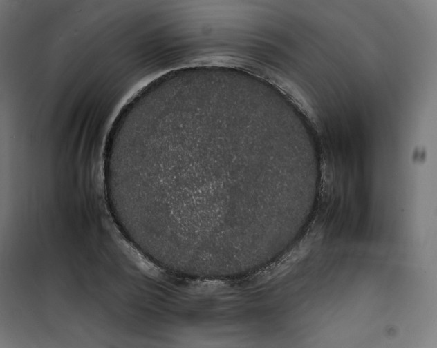 X0000100850784200807070932