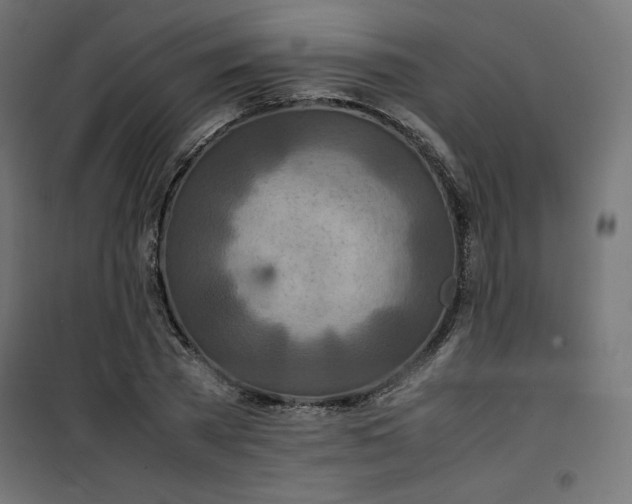 X0000100850785200807070932