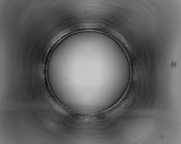 X0000100850786200807070932