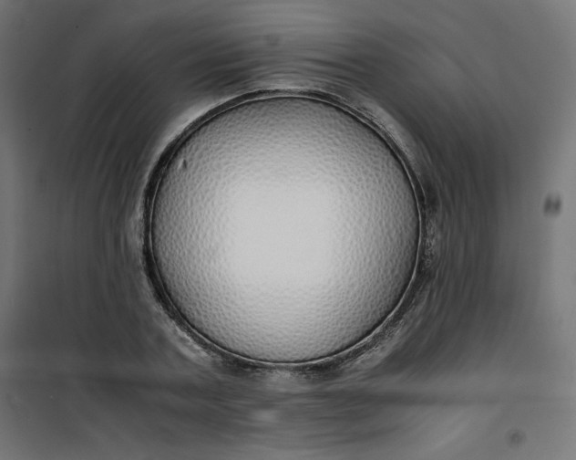 X0000100850787200807070932