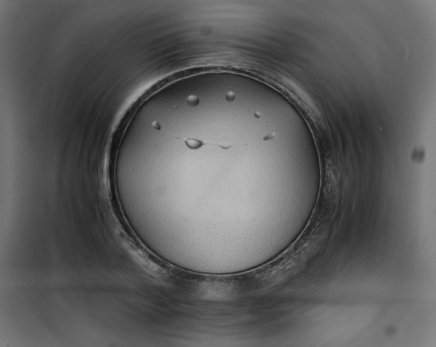 X0000100850788200807070932