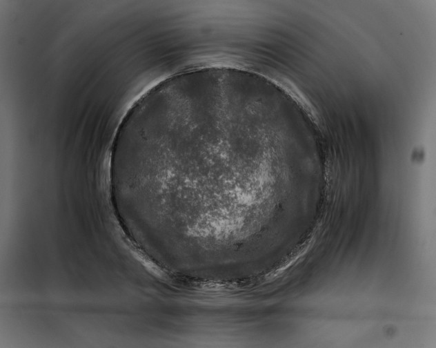 X0000100850790200807070932