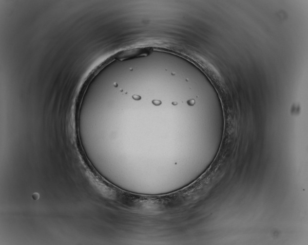 X0000100850792200807070932