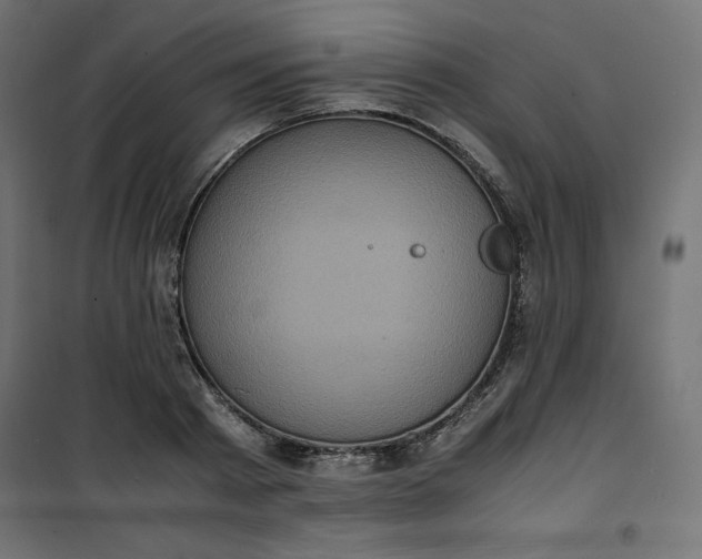 X0000100850793200807070932