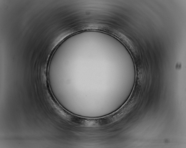 X0000100850794200807070932