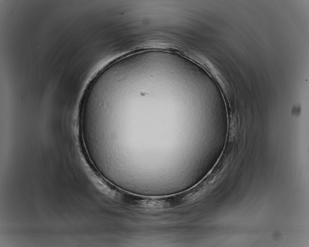 X0000100850795200807070932