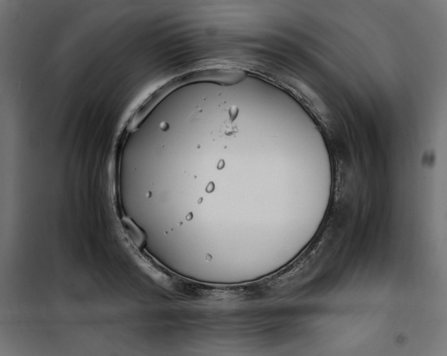 X0000100850796200807070932