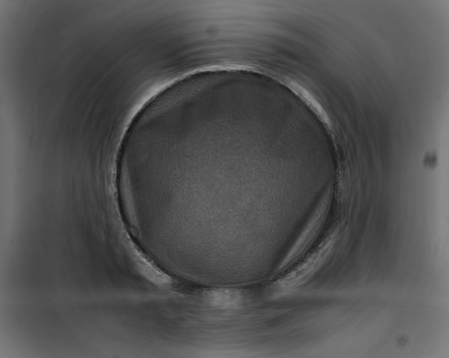 X0000100850797200807070932