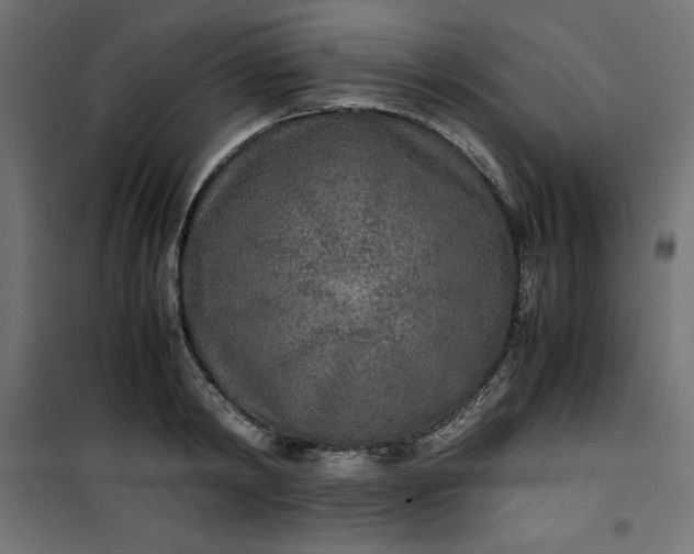 X0000100850798200807070932