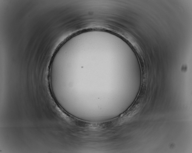 X0000100850799200807070932