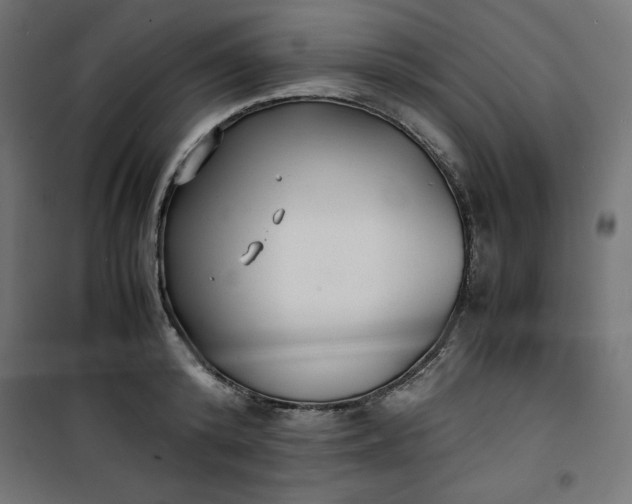 X0000100850800200807070932