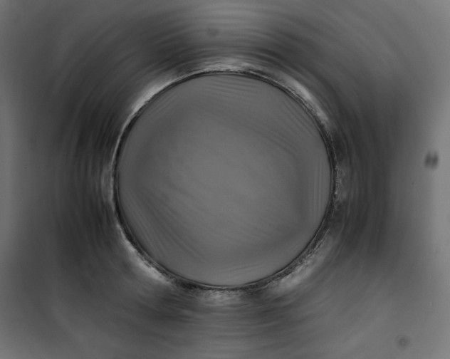 X0000100850802200807070932