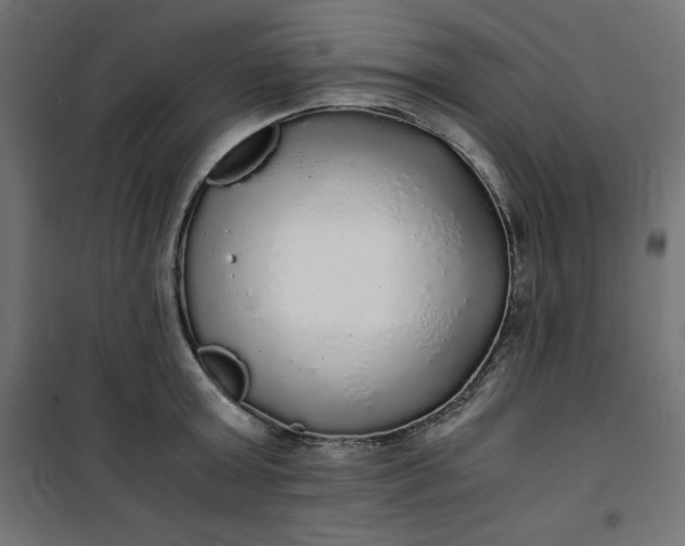 X0000100850803200807070932