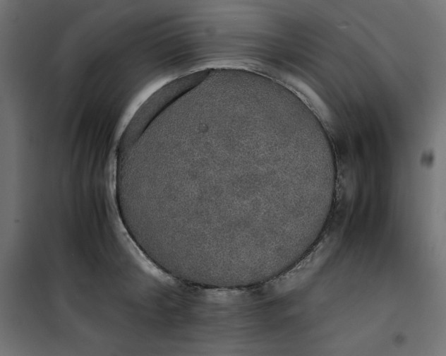 X0000100850804200807070932