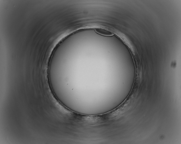 X0000100850805200807070932