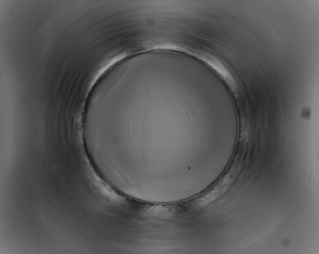 X0000100850806200807070932