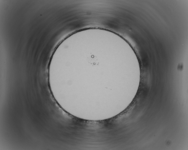 X0000100850807200807070932