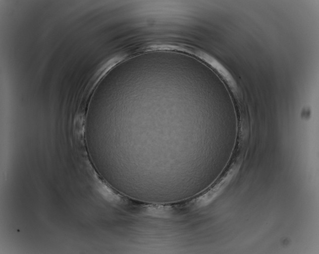 X0000100850809200807070931