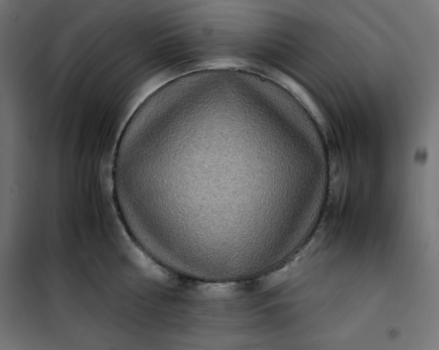 X0000100850810200807070931