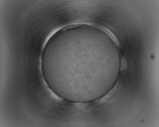 X0000100850812200807070931