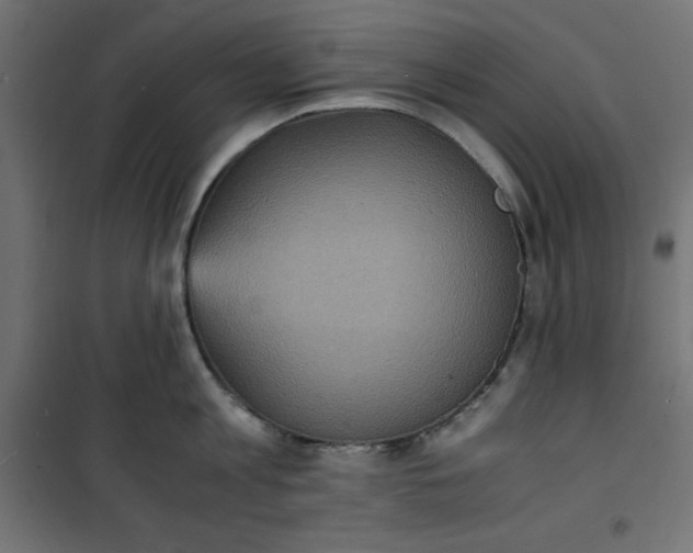 X0000100850813200807070931