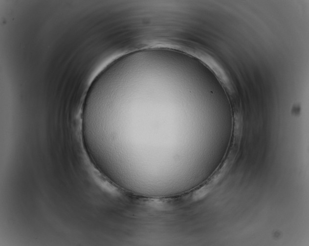 X0000100850814200807070931