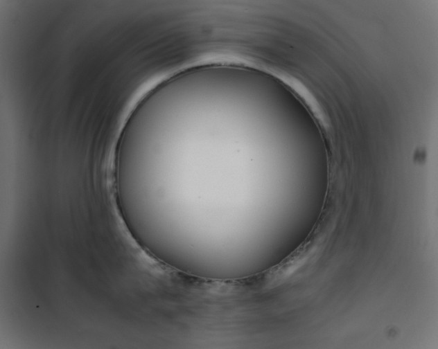 X0000100850815200807070931