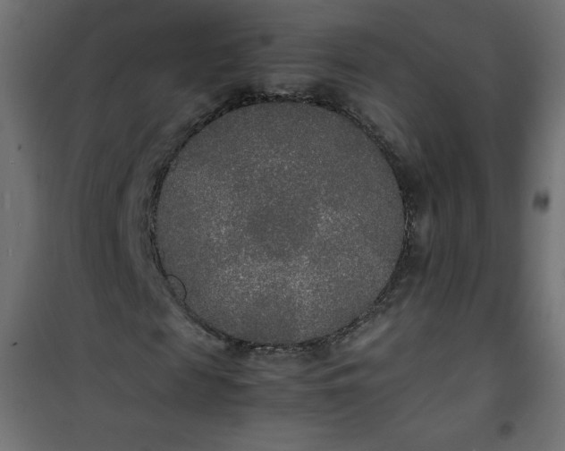 X0000100850817200807070931