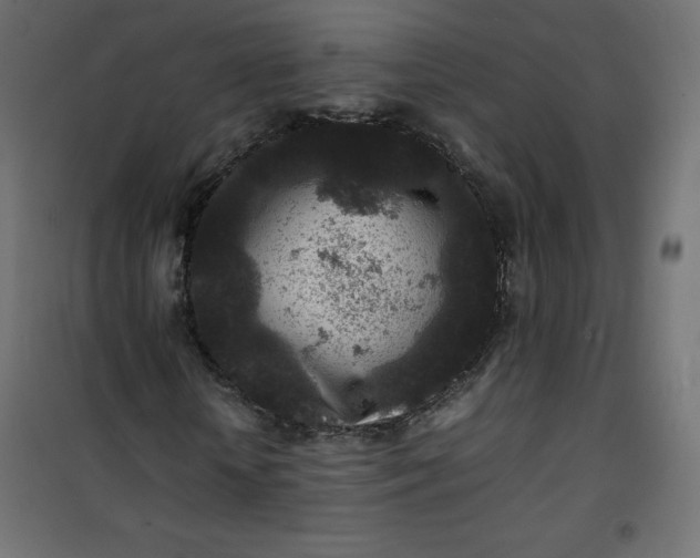 X0000100850818200807070931