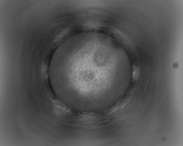 X0000100850819200807070931