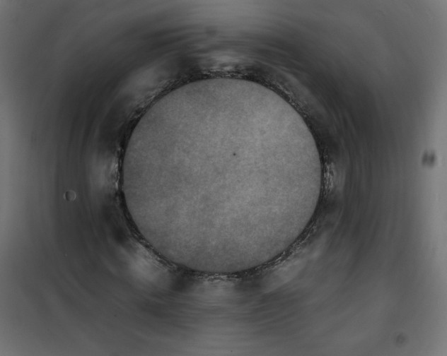 X0000100850820200807070931