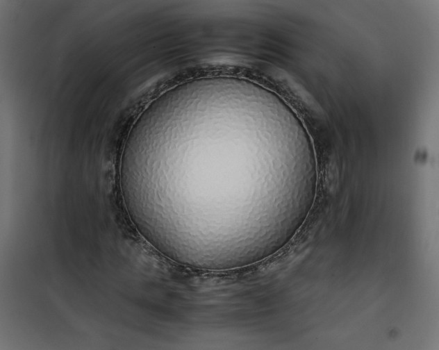 X0000100850821200807070931