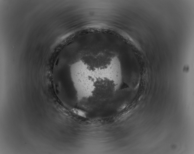 X0000100850822200807070931