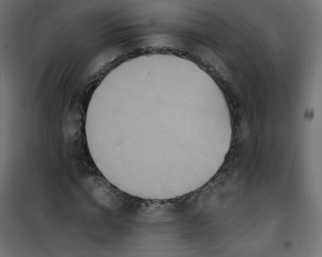 X0000100850824200807070931