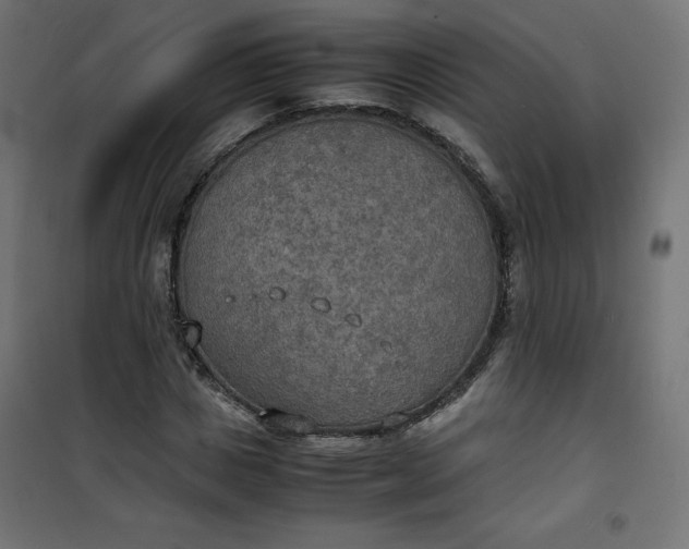 X0000100850825200807070931