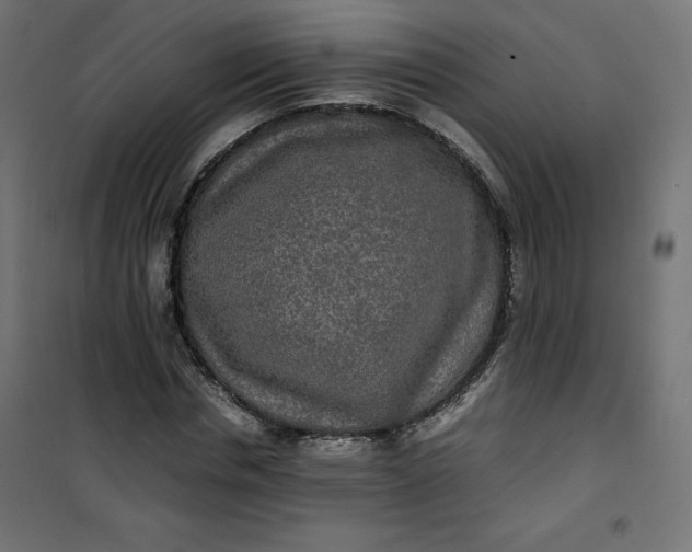 X0000100850826200807070931