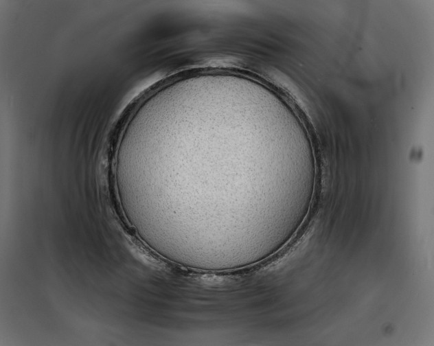 X0000100850827200807070931