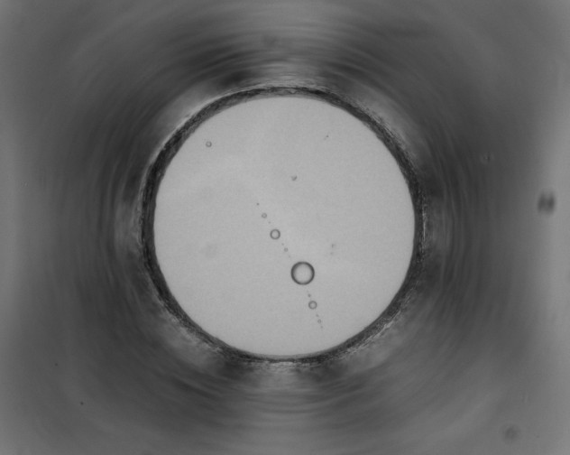 X0000100850828200807070931