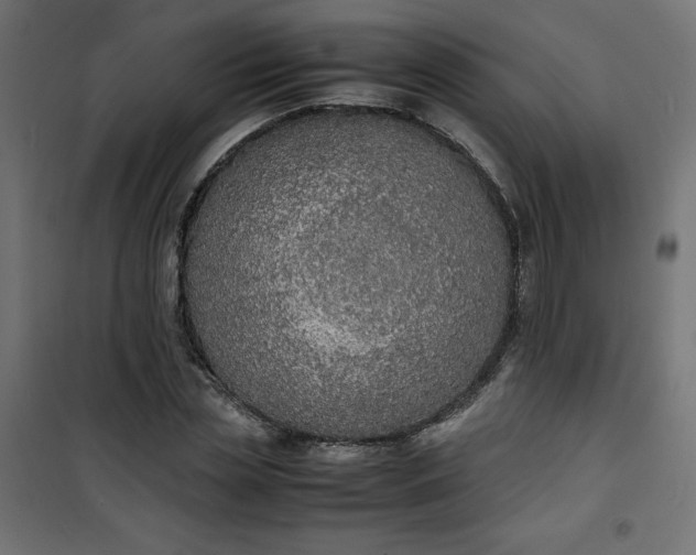 X0000100850829200807070931