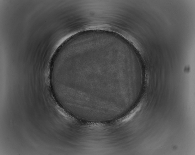 X0000100850830200807070931